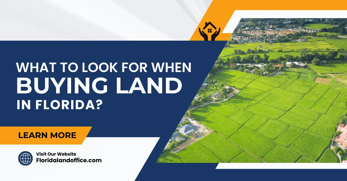 What to Look For When Buying Land in Florida