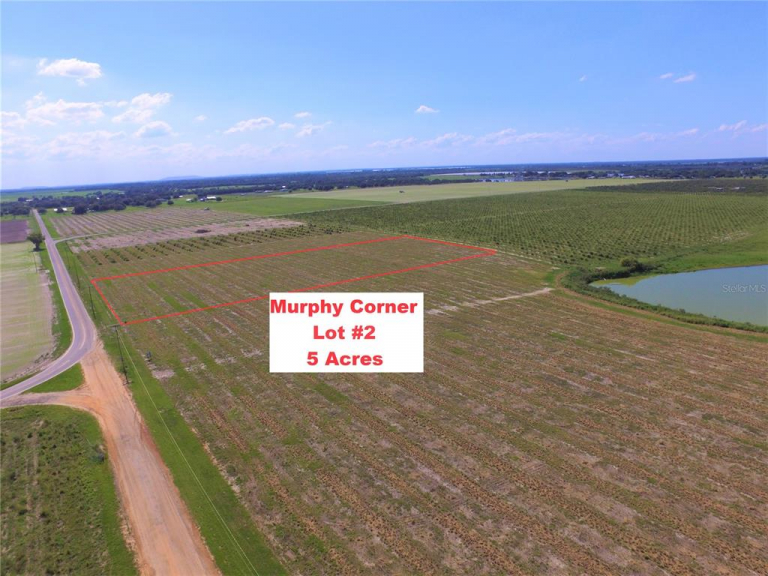 5 Acres of Land Murphy Road Lot 2, Bartow, FL Florida Land Office LLC
